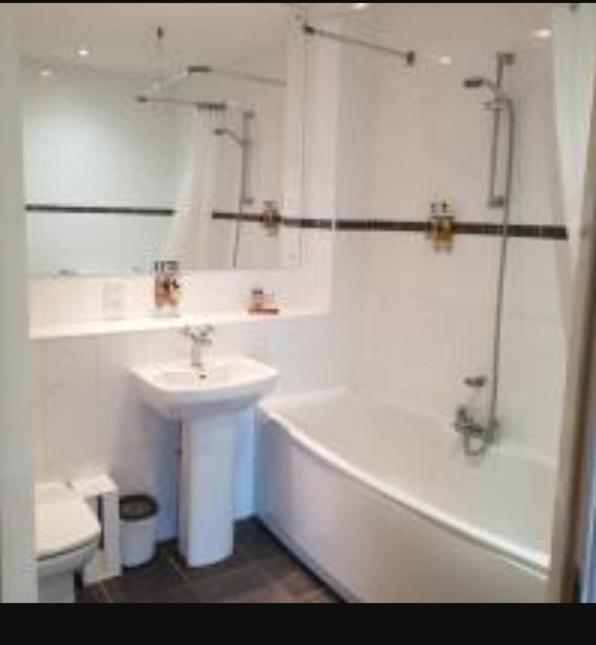 Parc Y Bryn Luxury Penthouse Apartment Aberystwyth Buitenkant foto