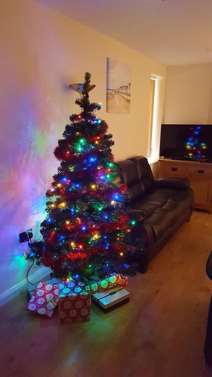 Parc Y Bryn Luxury Penthouse Apartment Aberystwyth Buitenkant foto